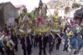 Tradizioni: la Domenica delle Palme in Calabria.