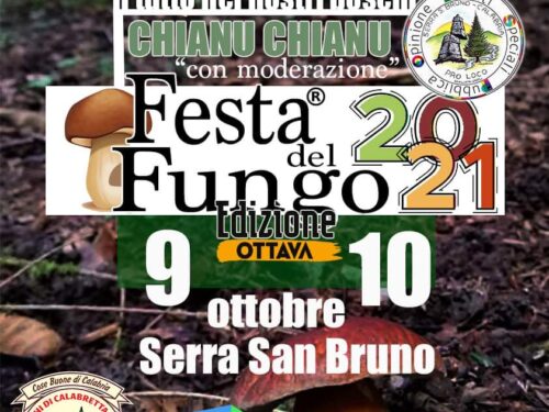 Ottava edizione della Festa del Fungo a Serra San Bruno