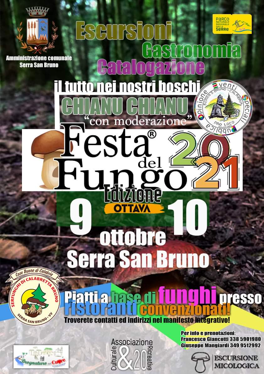 Ottava edizione della Festa del Fungo a Serra San Bruno