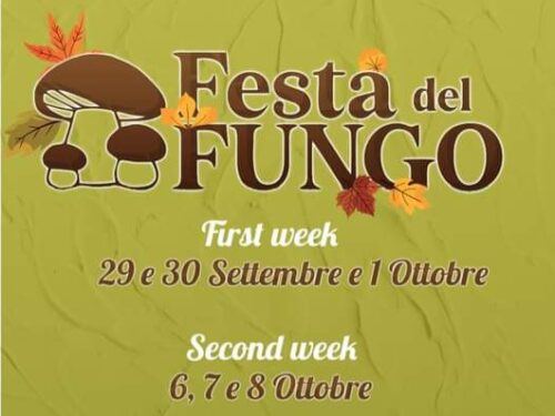 La festa del fungo a Serra San Bruno: un incontro tra natura, gastronomia e tradizione