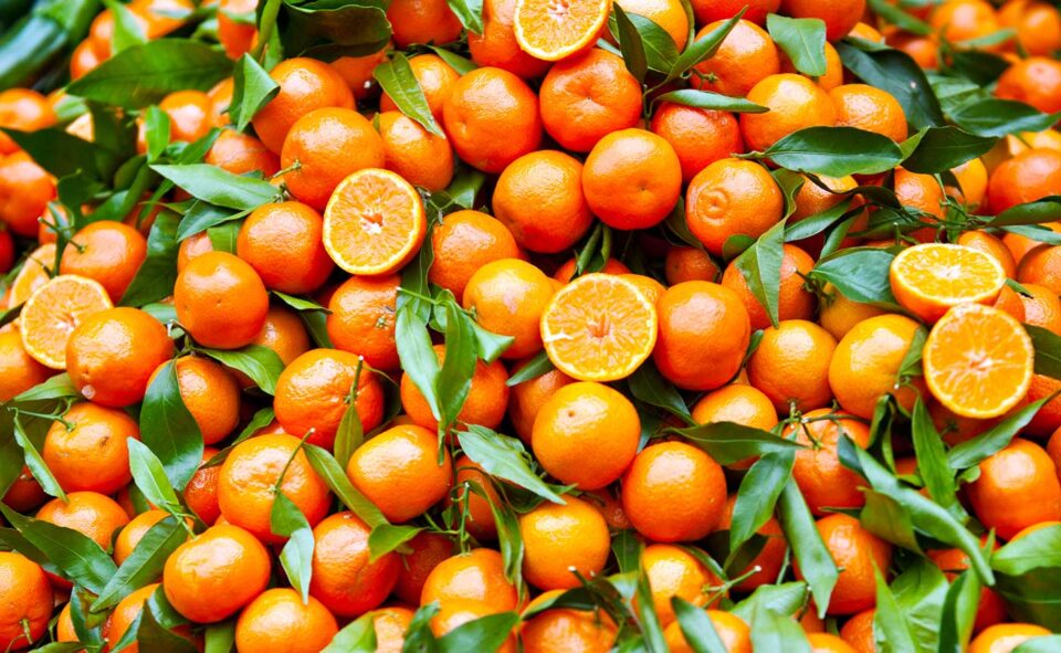 Le clementine di Calabria